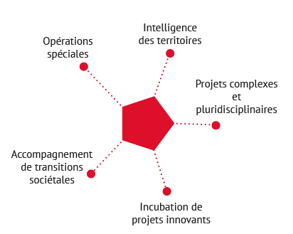 Transitions et développements Transitions et développements